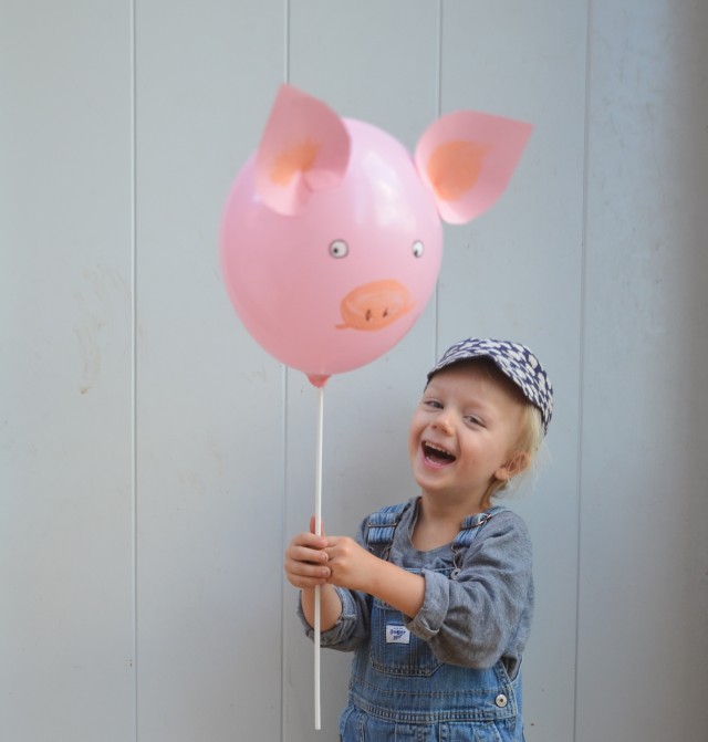 Schwein, dritter Geburtstag