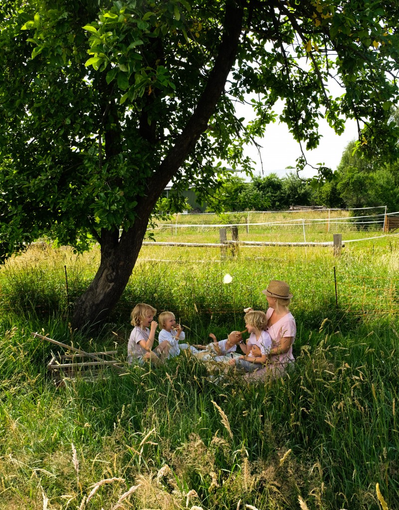 Ziegenfrischkäse, Picknick mit Kindern