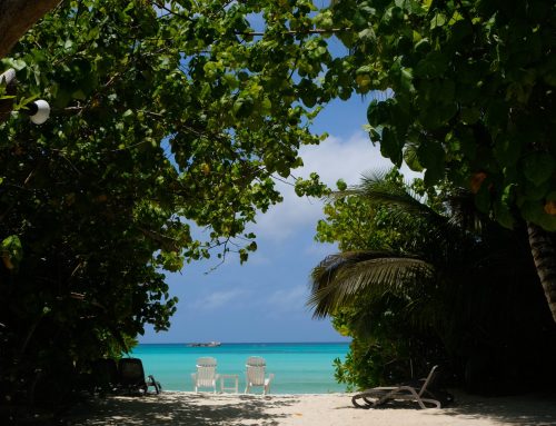 Plötzlich Paradies: Unsere Familienreise auf die Seychellen