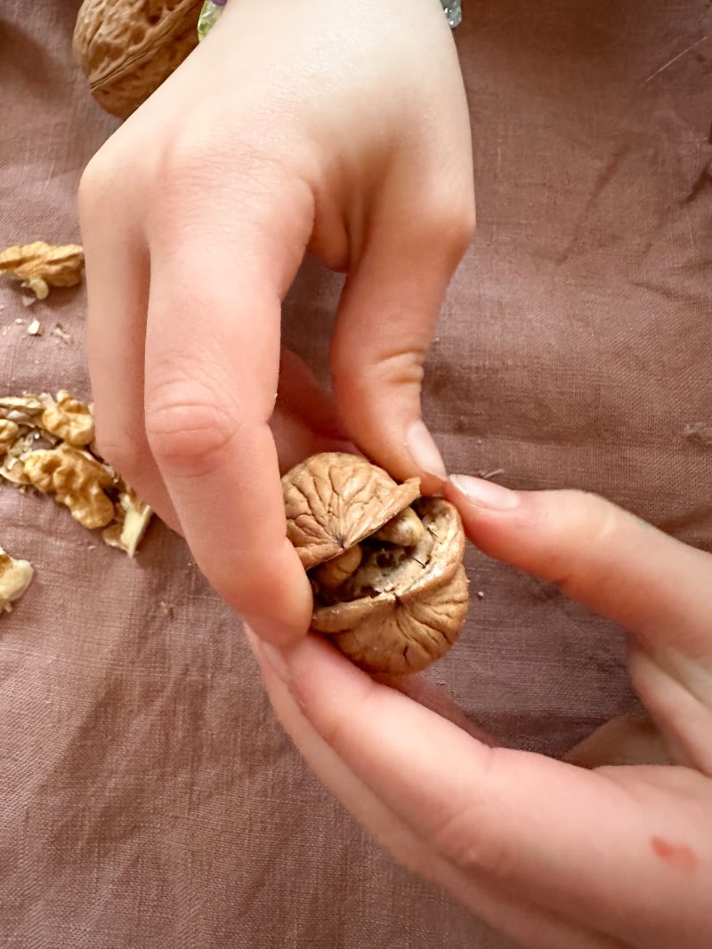 Wie wär´s mit lustigen Glücks-Nüssen zu Silvester? - wasfürmich